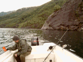 Harry beim versuch Fische zu Fangen